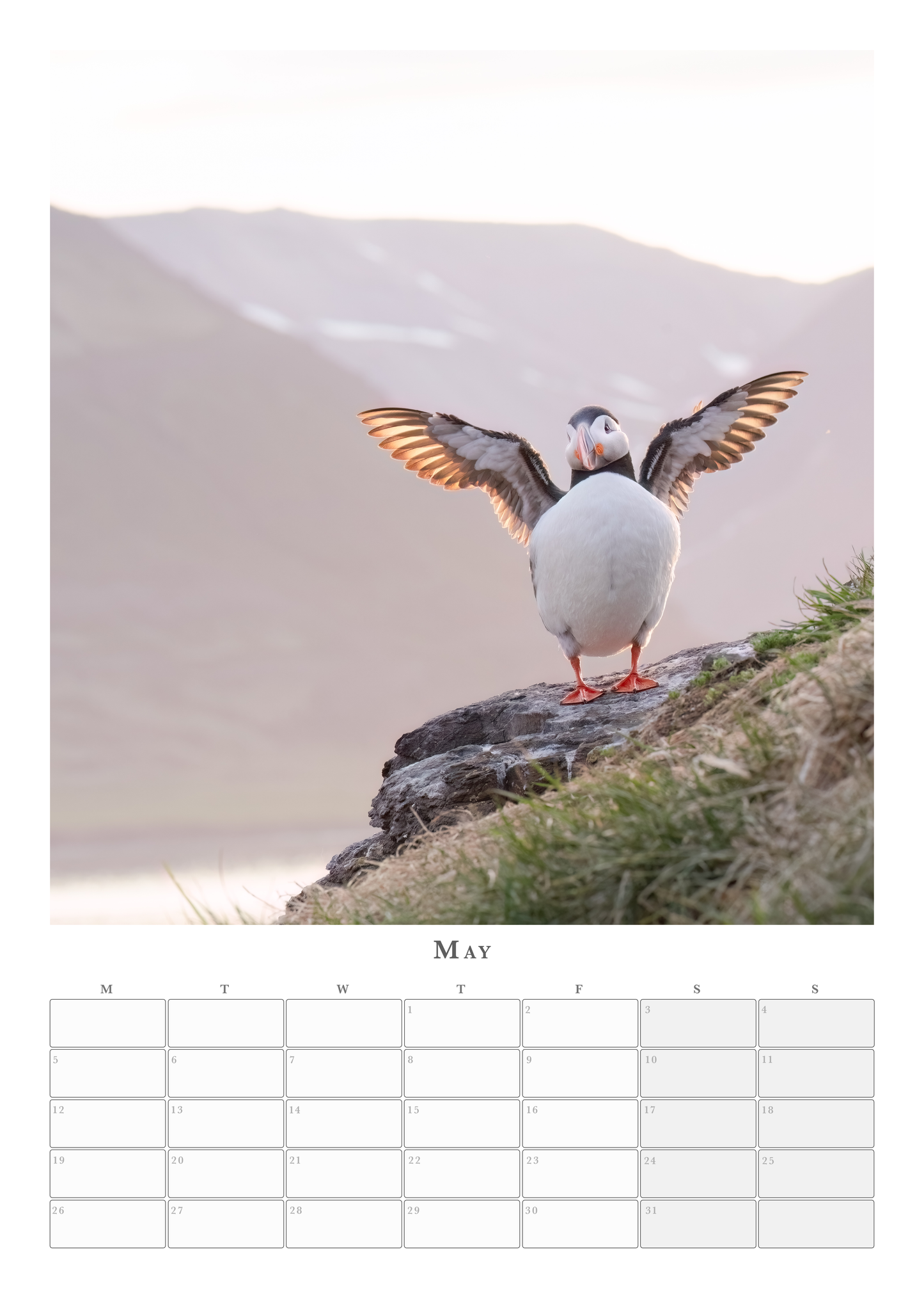 Puffin Calendar 2025