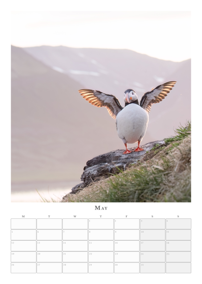 Puffin Calendar 2025