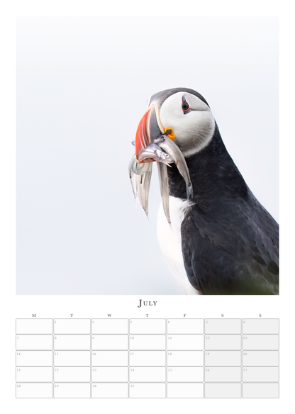 Puffin Calendar 2025