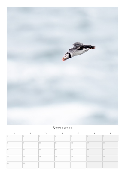 Puffin Calendar 2025