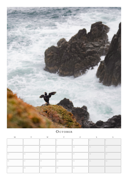 Puffin Calendar 2025