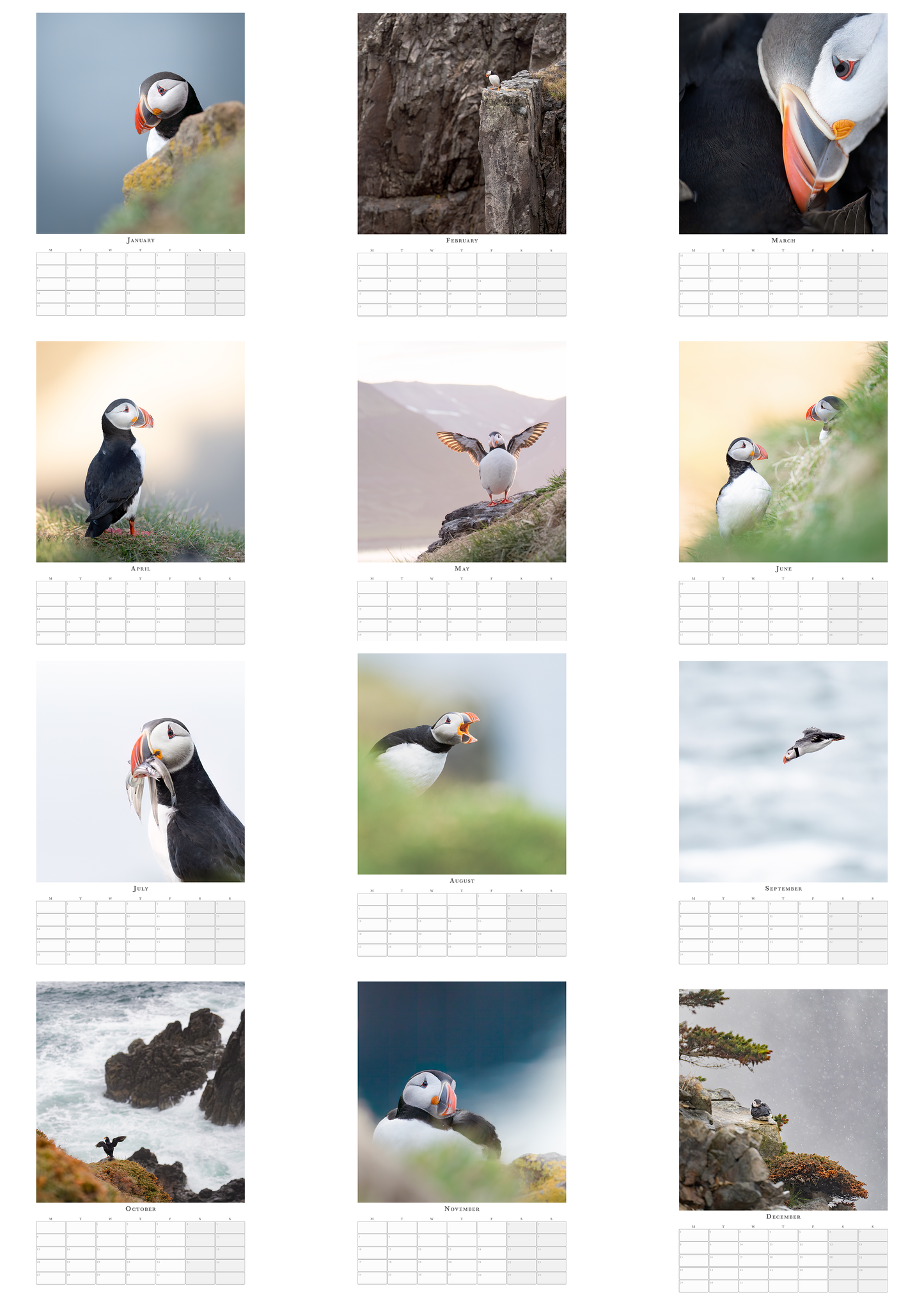 Puffin Calendar 2025