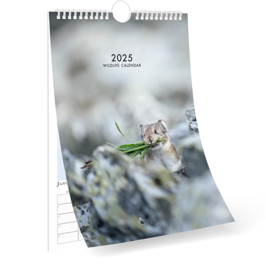 Wildlife Calendar 2025 - Pleun