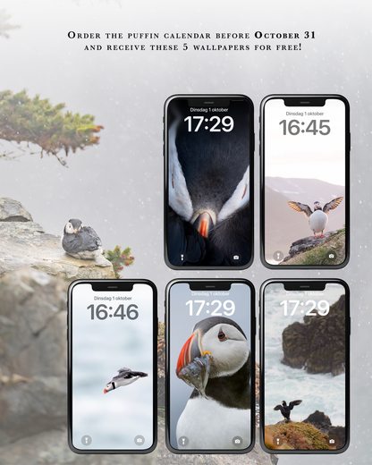 Puffin Calendar 2025